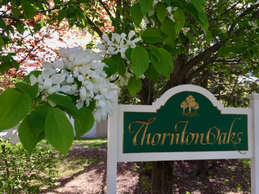 The green and gold Thornton Oaks sign at the entrance, with an apple tree in full bloom behind it.